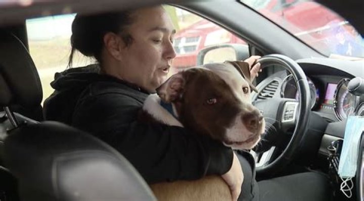 Alyssa Milano Saves Her Uncle’s Life After He Has Heart Attack While Driving On Freeway
