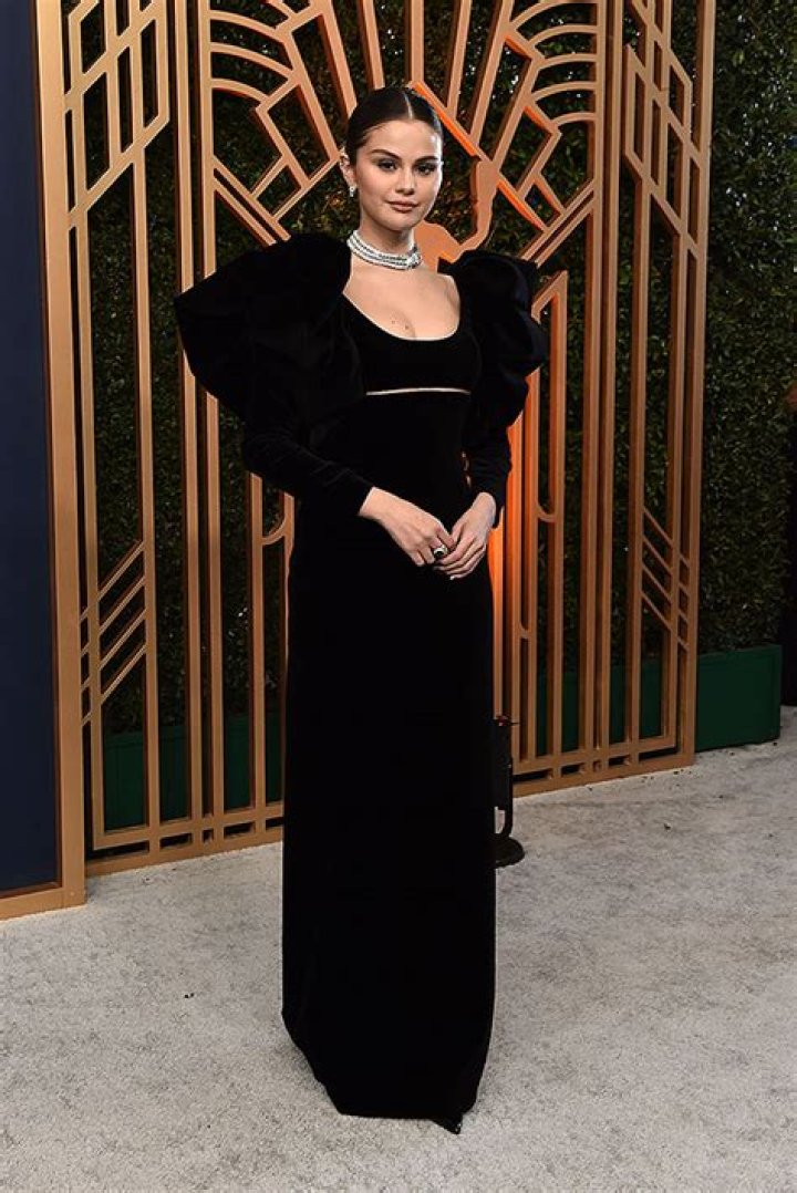 Black Velvet Oscar de la Renta Dress – Hollywood Life