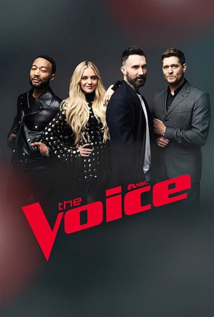 Blind Auditions Continue In Part 4 — Recap – Hollywood Life