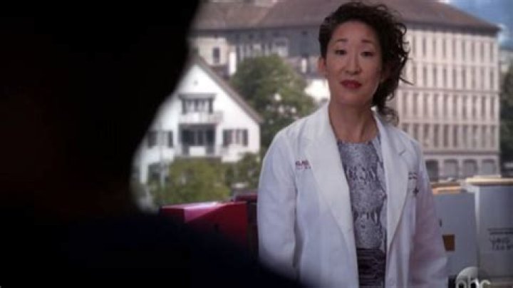Cristina Yang Farewell — Sandra Oh Says She Would Return – Hollywood Life
