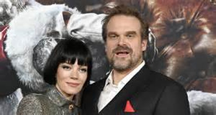 David Harbour & Lily Allen Spark Marriage Rumors During Quarantine – Hollywood Life