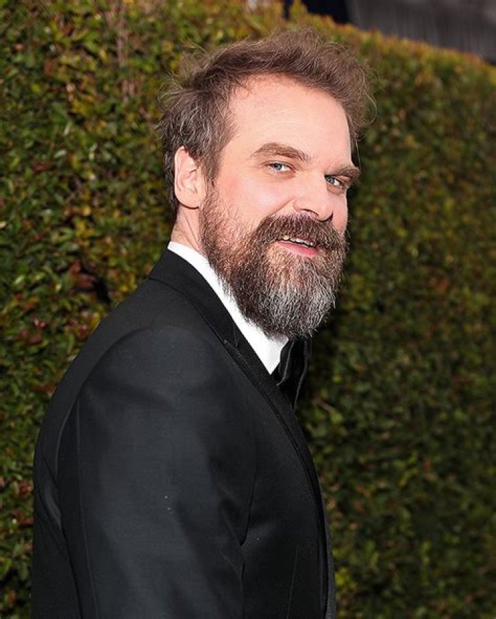 David Harbour Shows Off Combover Hair While FIlming ‘We Have A Ghost’ – Hollywood Life