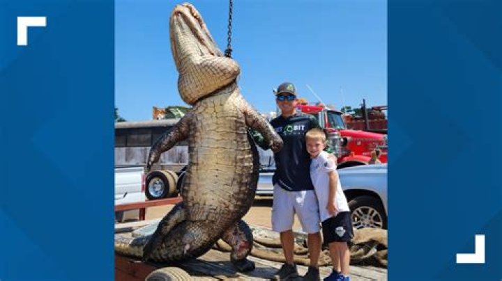 Disney Alligator Attack: First Photo Of Adorable Boy, 2, Killed By Gator Released