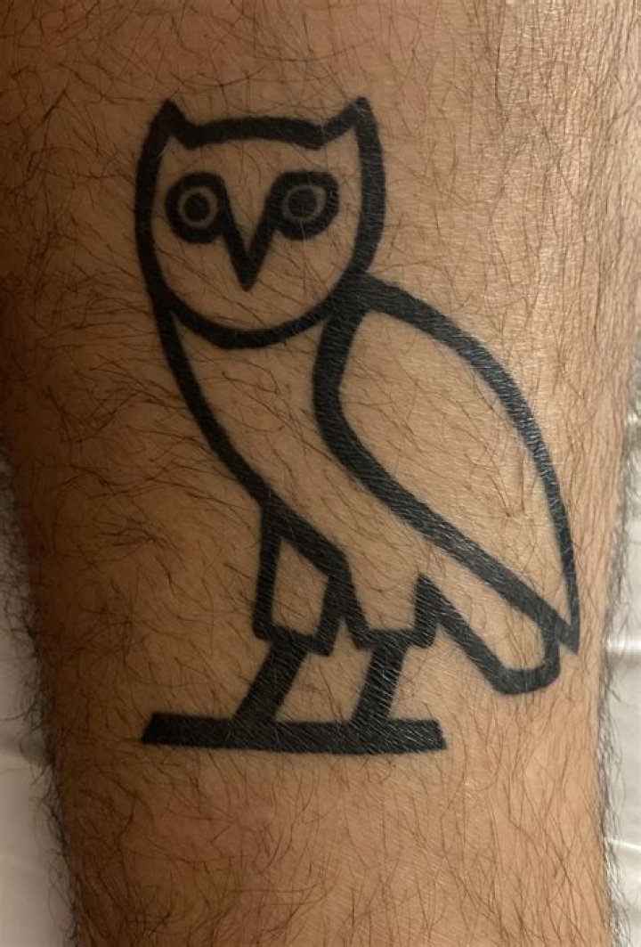Drake Shows Off New Owl Tattoo In Shirtless Pic On Instagram – Hollywood Life