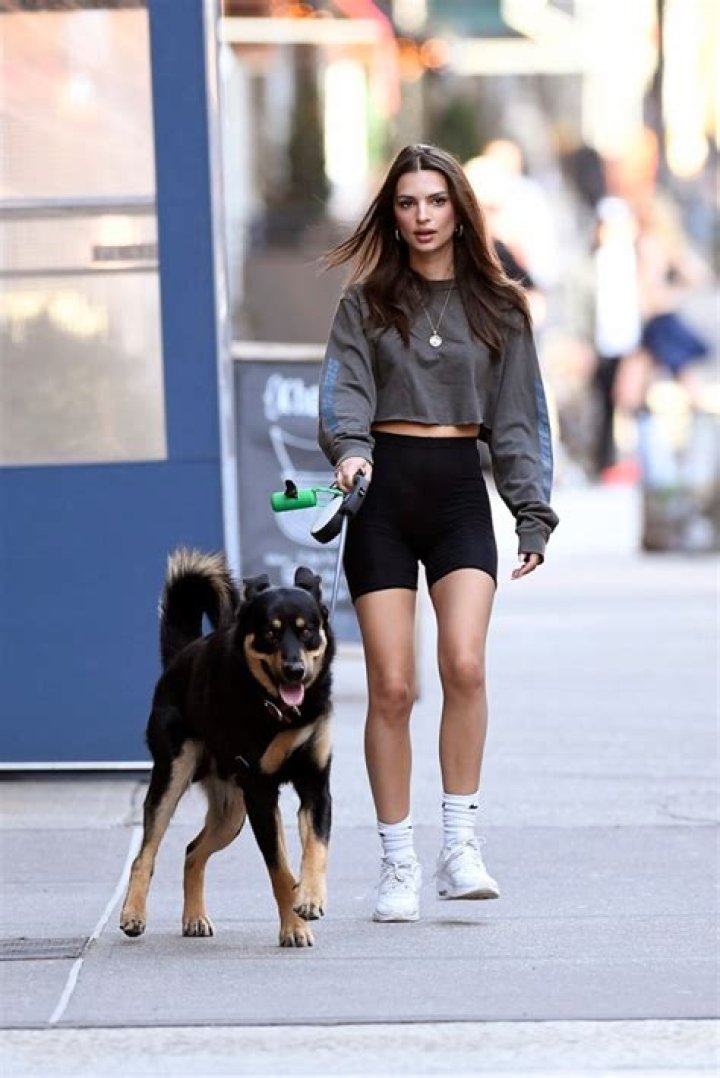 Emily Ratajkowski’s Outfits While Dog-Walking – Pics – Hollywood Life