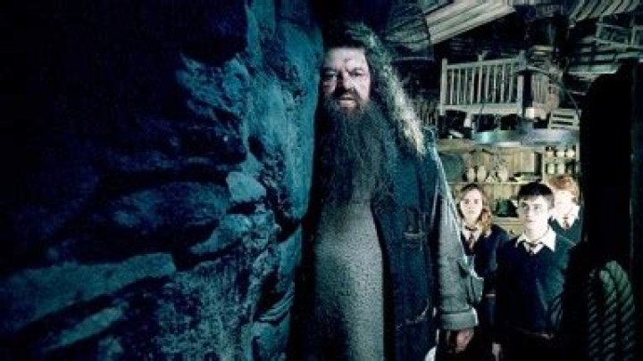Emma Watson Honors Robbie Coltrane In Heartbreaking Tribute: There Was ‘No Better Hagrid’
