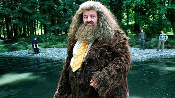 Harry Potter Cast Tributes To Robbie Coltrane From Dan, Emma & More – Hollywood Life