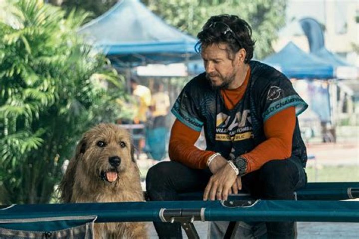 Mark Wahlberg’s Friend Killed By Cops After Allegedly Murdering His Mom
