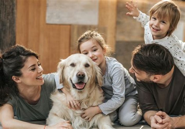 Miley Cyrus & Cody Simpson Snuggle Up In Quarantine Selfie With Her New Adopted Dog