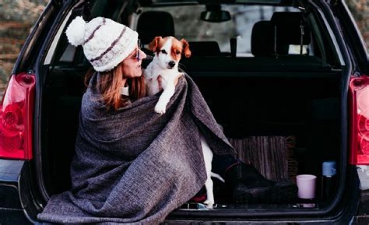 Nicest Travel Blankets (Review) of 2023