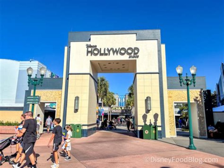 Reactions Revealed – Hollywood Life