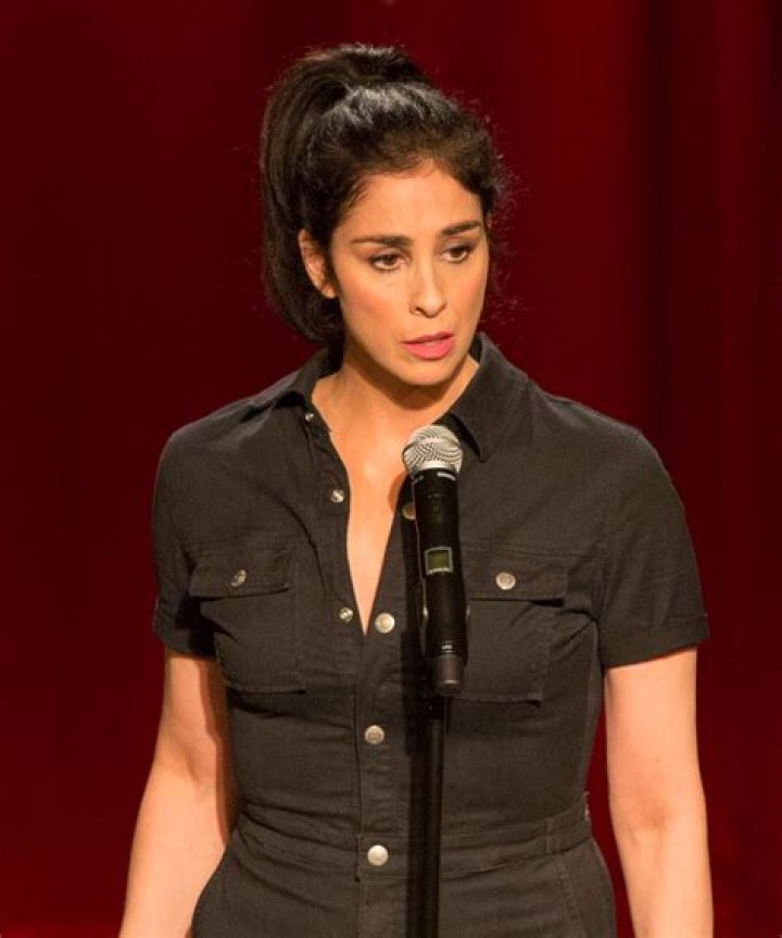 Sarah Silverman Flaunts Bikini Body In Sexy New Pic – Hollywood Life