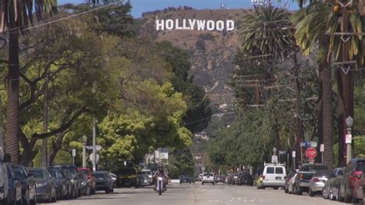 See The Reaction – Hollywood Life