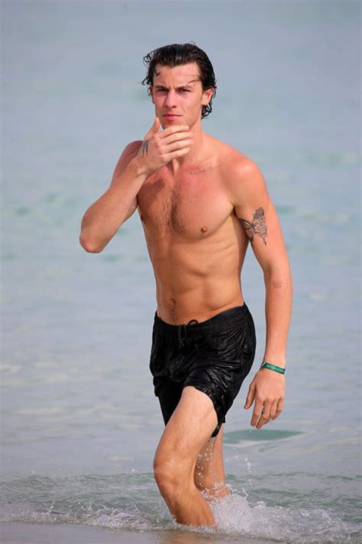 Shawn Mendes Flaunts Chiseled Abs On The Beach 1 Day After Reuniting With Camila Cabello