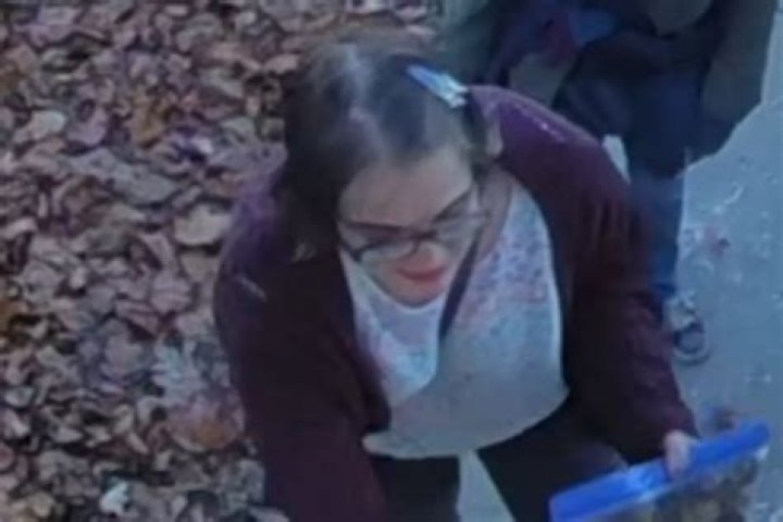 Slender Man Stabber Morgan Geyser, 12: Was She Declared Insane?